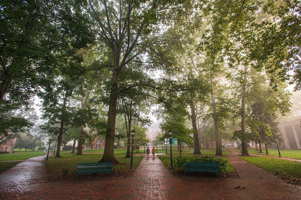 大学绿色 on bet8九州登录入口's 雅典 campus, with fog in the background